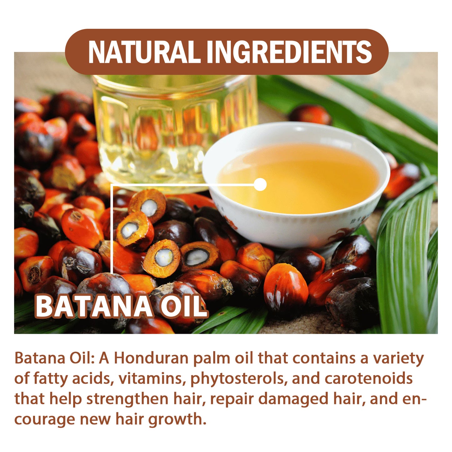 Natural Batana Oil – Unrefined Hair & Skin Care from Honduras 4oz